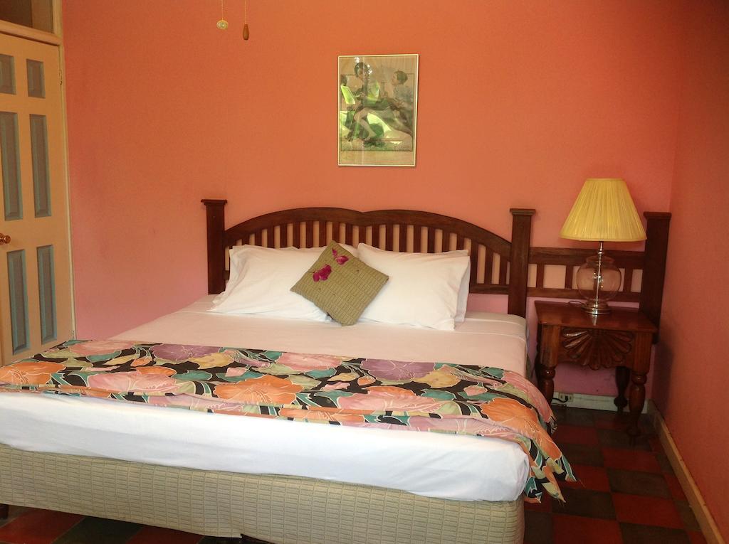 Hotel El Delfin Lívingston エクステリア 写真