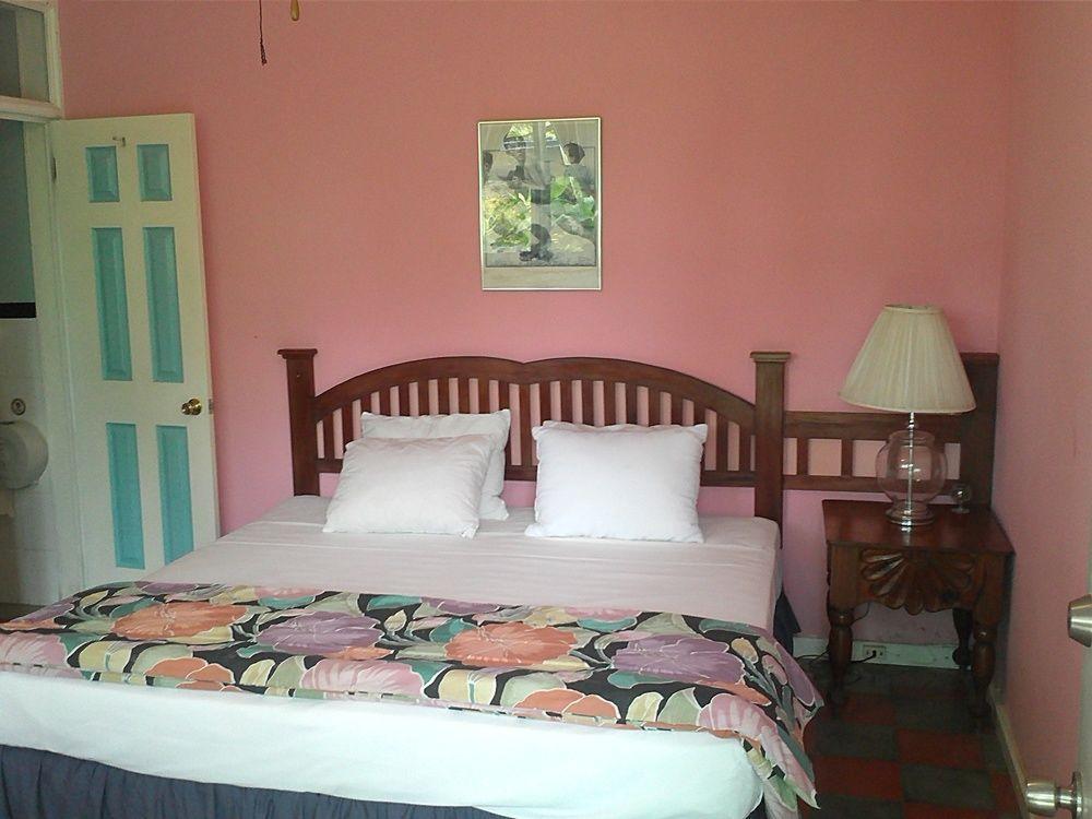 Hotel El Delfin Lívingston エクステリア 写真